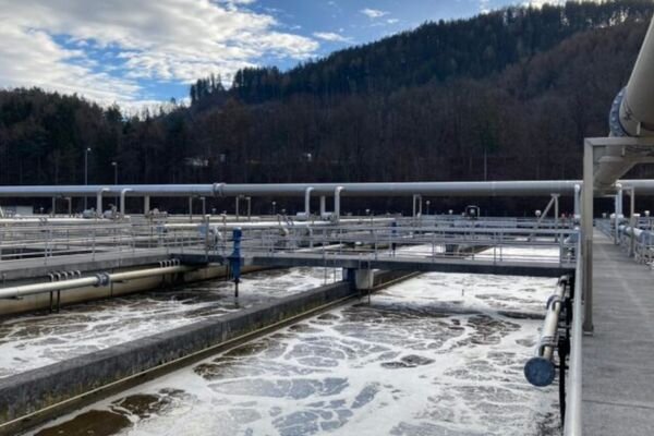 Bakterien fressen die Reste Bakterien fressen die Reste