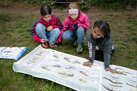 Schulkinder bekommen etwas gezeigt Schulkinder bekommen etwas gezeigt