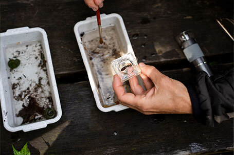 Schulkinder am Wasser Schulkinder am Wasser